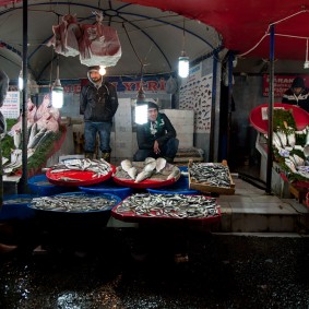 Истанбул през април turkey009 283x283 Истанбул през април